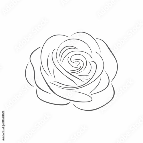 Continuous line, rose isolate line art vector illustration with transparent background editable stroke.