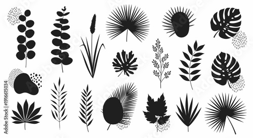 Collection of black tropical and botanical leaf silhouettes, various plants and organic shapes, isolated white background.