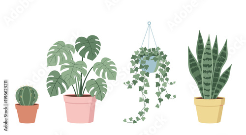 Houseplants vector collection with potted monstera snake plant cactus and ivy