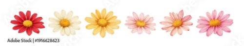 水彩マーガレットの花イラストセット 春のカラーバリエーションベクター素材