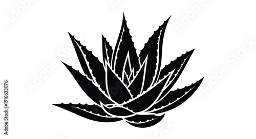 A striking black agave plant design presented as a silhouette