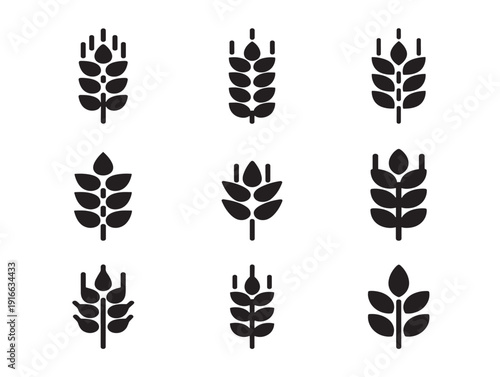 Elegant wheat grain silhouette symbolizing natural organic farming beauty