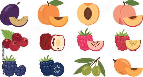 Colorful fruit collection with plum, peach, berries, apple, olive, and orange slices representing fresh healthy food illustrated in modern flat vector style