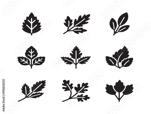 Aromatic spice herbs silhouette with colorful culinary inspiration