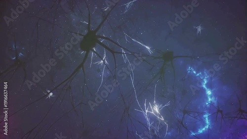 A bright summer sun illuminates the intricate pattern of a spider on its web against a green nature backdrop of grass and trees