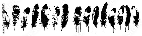 Collection of diverse bird feathers silhouettes with artistic ink drips and grunge effects