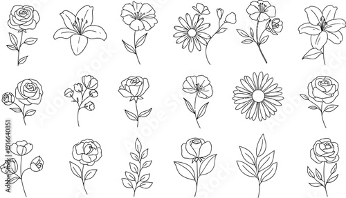 Collection of beautiful minimalist outline floral drawings featuring various delicate blossoms, roses, lilies, and botanical leaf elements perfect for design.
