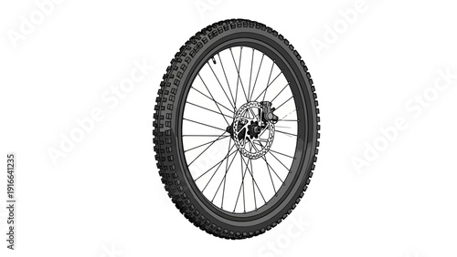 Close-up of a bicycle wheel with a disc brake and knobby tire.