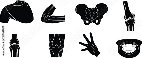 Black and white human body part human body parts anatomy skeleton joints bones