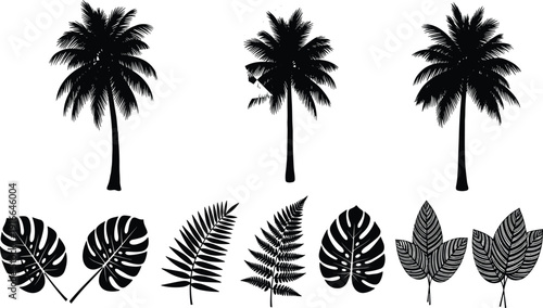 Tropical Palm Trees and Exotic Leaves Silhouette Vector Illustration Set Featuring Botanical Jungle Plants Isolated on White Background