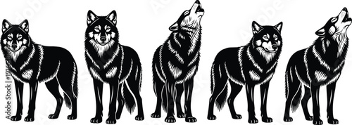 Black and White Wolf Vector Set Featuring Howling and Standing Wolves in Hand Drawn Engraving Woodcut Style for Wildlife Design