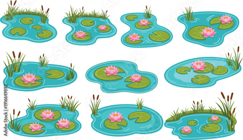 Set of cartoon pond illustrations with water lilies, lotus flowers, reeds, and lily pads, isolated vector collection for nature, garden, and landscape design