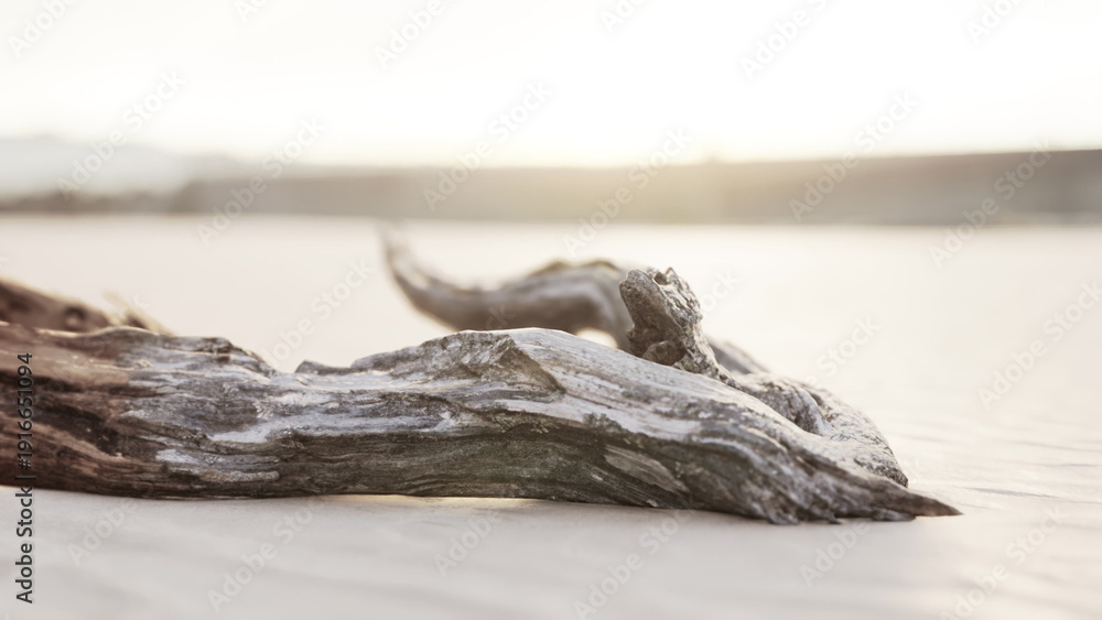 Obraz premium A piece of weathered driftwood lays on a tranquil sandy beach, kissed by soft morning light. Calm waves and gentle hues create a peaceful atmosphere of natures beauty.