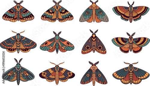 Decorative moth illustrations collection with symmetrical wings and vintage inspired patterns representing nocturnal insects and nature themed flat vector art