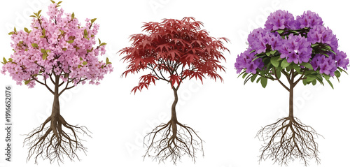 Three small trees with roots and colorful flowers and leaves on white background for design and decoration  trees with pink purple and red flowers