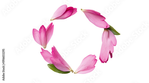 Wallpaper Mural Circular arrangement of delicate pink petals isolated on a white background, symbolizing beauty and serenity. Torontodigital.ca