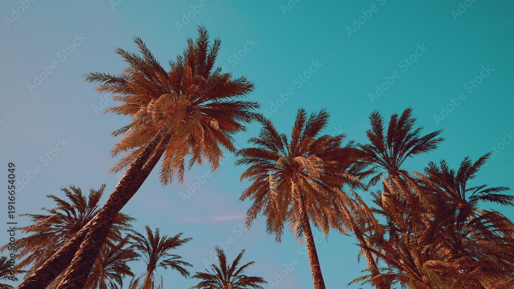 Fototapeta premium Tall palm trees stand gracefully against a vibrant blue sky, creating a serene atmosphere. Sunlight filters through the leaves, enhancing the tropical feel of this relaxing scene.