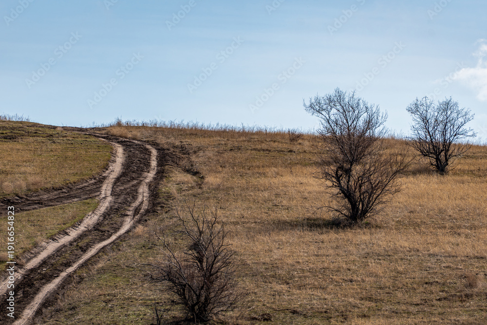 Fototapeta premium Dirt road winding through a dry spring steppe with bare trees under a clear blue sky. Scenic view of an unpaved country road stretching across a grassy hill with sparse leafless trees.