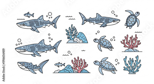 Marine life illustrations of sharks turtles coral and fish in oceanic scene