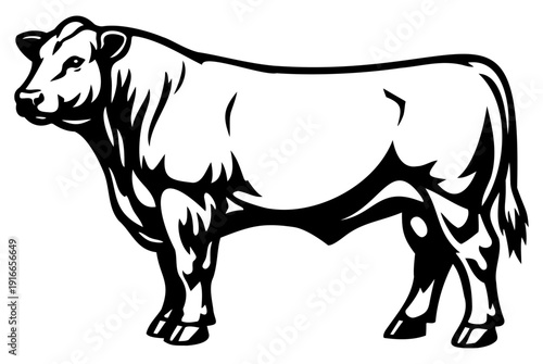 Angus Bull Bold Line Art – Cattle Logo Design