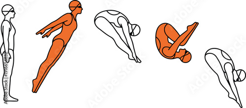 A sequence illustrating the stages of a professional diver performing an acrobatic tuck somersault into water