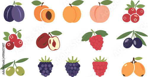 Fresh fruit icon collection with plum, peach, cherry, grapes, raspberry, apple, and olive representing healthy organic food illustrated in modern flat vector style