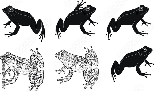 Frog silhouette and detailed illustration collection showing jumping amphibian poses isolated on white background for wildlife education vector design and logo projects