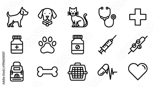 Veterinary care icons set depicting animals and medical symbols in a simple line style