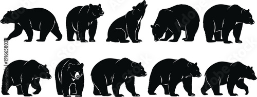 Vector illustration of bear silhouettes in diverse poses symbolizing wildlife, strength, predator presence, forest nature, biology, education, and decorative design