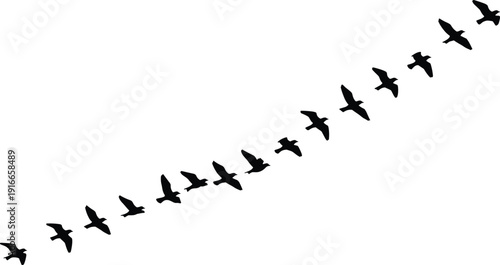 Vector illustration of bird formation silhouettes, diagonal flight line, migratory pattern, coordinated group motion, black design, nature theme, wildlife icon, energy conservation artwork