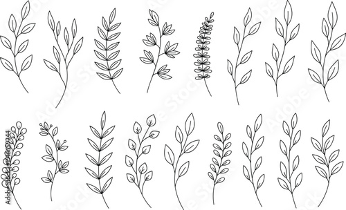 Vector illustration of botanical branches and sprigs symbolizing plants, foliage, nature, biology, environment, education, culture, and decorative design