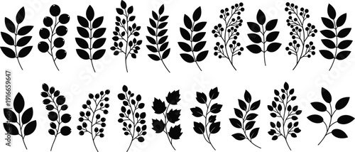 Black botanical leaf silhouette icons set, berry branch stems with foliage, organic nature elements for floral logo design, garden symbols,