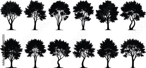 Black deciduous tree silhouette icons set, forest oak and maple shapes, nature garden elements, seasonal park foliage for landscape design,