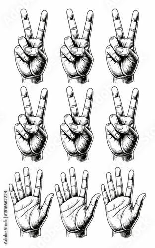 Hand Gestures Engraving Style: Vector Set Counting From Two to Five - Vintage Hands Performing Numbers, Communication, Body Language Anatomy in Old Fashioned Engraved Graphics for Education, Symbolism