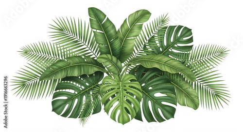 Tropical green palm and Monstera leaves isolated on transparent background