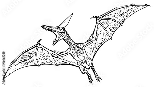  Realistic Flying Pterodactyl Isolated on White Background PNG.png
