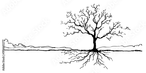 Photos Sketch of large leafless tree with visible underground root system