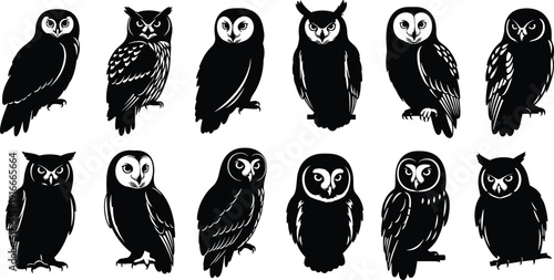 Black owl silhouette icons set, nocturnal predatory bird shapes, wise forest animal symbols for wildlife and education logo design projects,