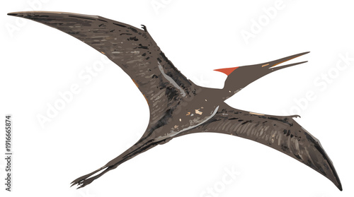 Wallpaper Mural  Realistic Flying Pterodactyl Isolated on White Background PNG.png
 Torontodigital.ca