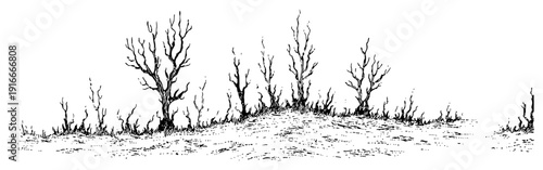 Sketch of dry leafless trees and bushes on a hill landscape