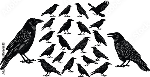 Vector illustration of raven silhouettes in varied poses, artistic black bird artwork, decorative nature design symbolizing mystery and symbolism