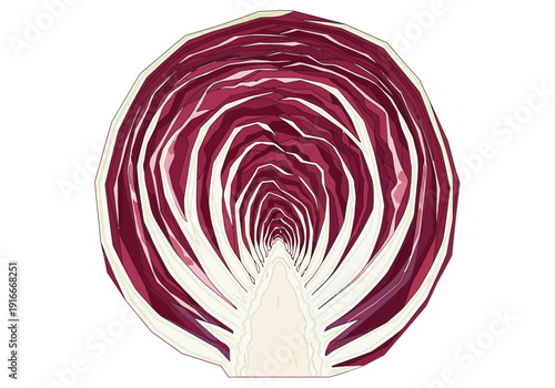 Cross section of vibrant radicchio vegetable showing detailed leaf structure.
