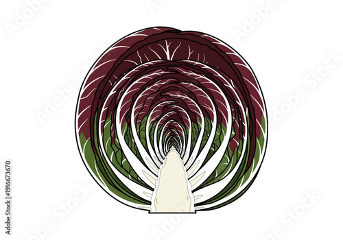 Radicchio Leaf Patterned Abstract Design.