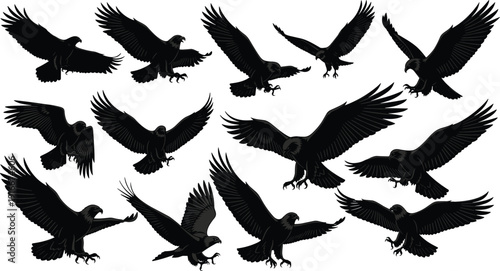 Vector illustration of eagle silhouettes in flight and landing poses, detailed black bird artwork showcasing wings, feathers, and talons