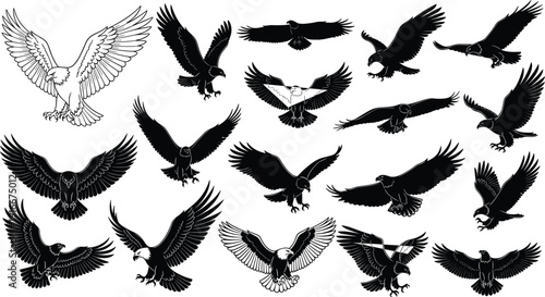 Vector illustration of eagles in dynamic flying and landing poses, stylized black silhouettes and detailed line artwork showcasing feathers