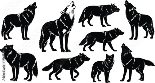 Wolf silhouette collection with nine variations, standing, walking, howling poses, detailed fur texture, wildlife animal vector illustration design