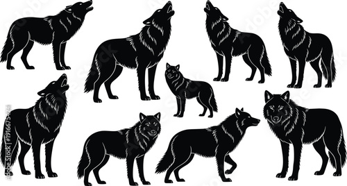 Wolf silhouettes in various poses, howling and standing animals, detailed fur texture illustration, wildlife vector artwork design for nature projects