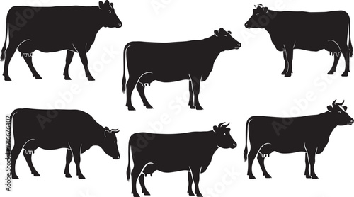 Group of Cows Silhouette Vector Illustration.