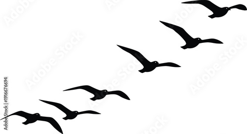 Bird silhouettes flying in diagonal formation, wildlife avian motion vector illustration, migratory flight pattern art, nature freedom design background