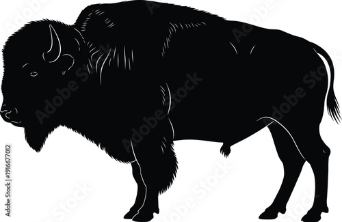 Bison silhouette vector illustration with distinct hump and large head, wildlife artwork design, nature animal profile, decorative black drawing